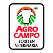 Cliente 4